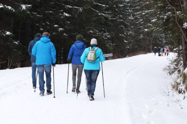 Bir grup insan bir iz üzerinde snowshoeing kışın tadını çıkarıyor. Bir grup insan bir parça kışın snowshoeing zevk. Aşırı soğuk hava koşullarında yürüyüş. Çam ormanı içinde kış turizm.