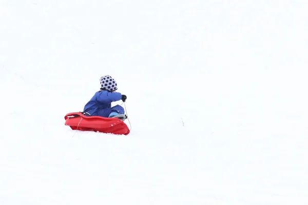 孩子在雪街上的雪橇上骑行 成长一代的活动在新鲜空气中 在寒冷的环境中健康的生活方式 使孩子们变硬 快乐和乐趣 — 图库照片