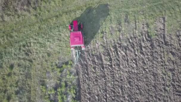 在乡村地区的一个私人田地里 一个农夫在一辆红色拖拉机上用播种机播种谷物 春季野外作业机械化 农民的日常生活 处理土地 的土地 — 图库视频影像