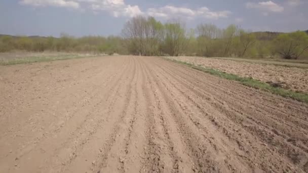 Борозги Вспаханного Поля Краю Леса Бесплатная Почва Посадки Культур Сельскохозяйственный — стоковое видео