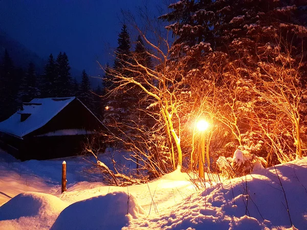 Winter evening landscape. Wooden house covered with snow clarified street electric lantern. Wintering in the mountains and in the forest. Romantic mood and beautiful nature.