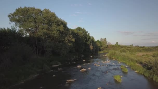 Mělké Horská Řeka Teče Mezi Kameny Svěží Zeleně Přes Pláň — Stock video