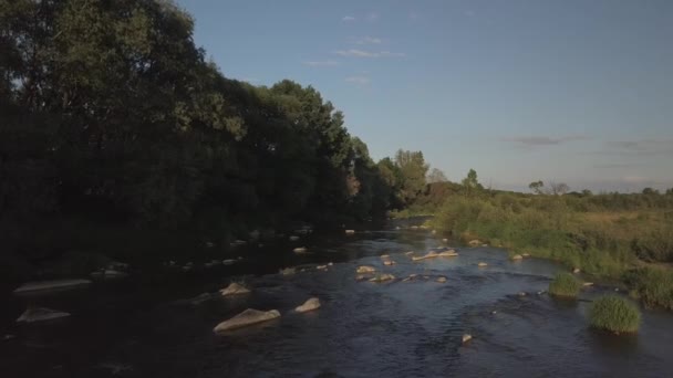 Een Ondiepe Berg Rivier Stroomt Onder Stenen Weelderige Groen Vlakte — Stockvideo