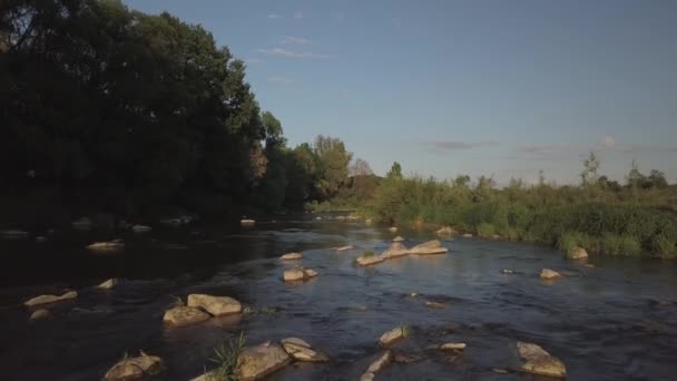 Shallow Mountain River Flows Stones Lush Greenery Plain Clear Water — Stock Video