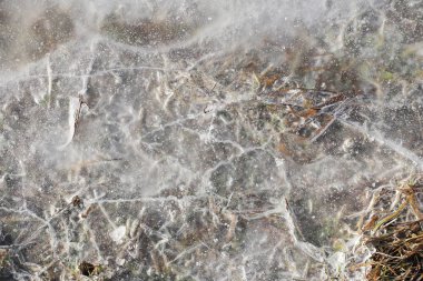 Sürülmüş bahar alan. Saha çalışması sezon başında. Agro-sanayii çiftlik iş. Kar yere erir. Isınma ve Mevsimler değişiyor. Elveda kış. Doğurmak uyanış.