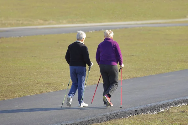 Scandinavian nordic walking. Two older women are engaged in sports even down the paved path in the spring time. in the rays of sunlight. Healthy lifestyle. Sport's event. A example of society — Stock Photo, Image