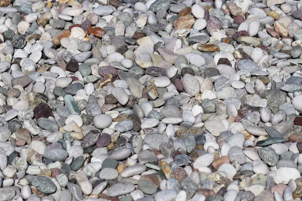 Textúra: nagy homokos kavics. Kis fehér kréta kövek. Természetes objektumokból művészi domborművek — Stock Fotó
