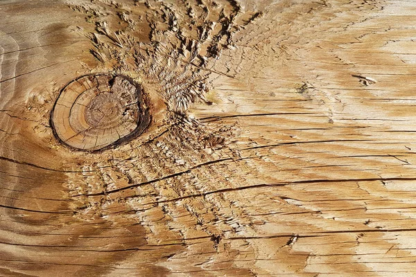 La texture de la coupe polie d'un arbre dans des tons bruns. La coupe de la planche de bois scié. Matériau de construction naturel. Fabrication de meubles. Décoration et conception des locaux. Finition intérieure — Photo