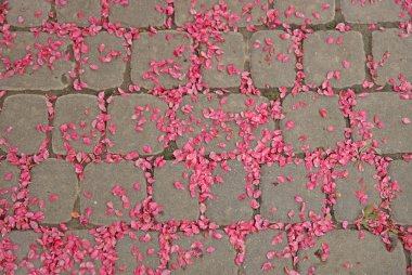 Gül yaprakları yla süslenmiş taş döşemeler. Geometrik perspektif. Kahramanın onuruna yüceltme ve kutlama. Dekorasyon ve tasarım için doğal arka plan. Eski halkları övme gelenekleri