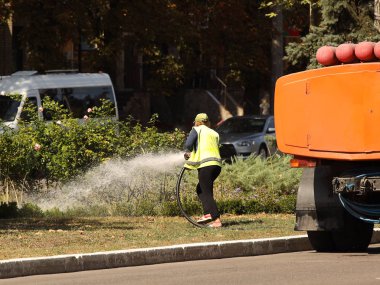 Kadın şehir geliştirme işçisi güneşli sıcak bir günde çiçeklerle yeşil bir çim su serpiştirir. Kuraklık ve yeşil alanların kurtarılmasına karşı mücadele. Dekoratif manzara ya da manzaraya özen. Su taşımacılığı