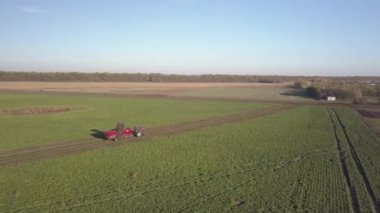 Şeker pancarı hasat ediyorum. Kombine ve arabalar tarladan kök ekinleri topluyor. İnsansız hava aracı ya da kuadrokopterden yapılan hava taraması. Çiftlikte sonbahar tarlası işi. Şeker üretimi için hammadde hasat ediliyor