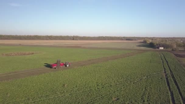 Raccolta di barbabietole da zucchero. Combinazioni e auto rimuovono le radici dal campo. Rilevamento aereo da un drone o quadroelicottero. Lavoro sul campo autunnale nella fattoria. Raccolta di materie prime per la produzione di zucchero — Video Stock