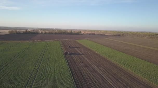 Récolte Des Betteraves Sucre Les Moissonneuses Batteuses Les Voitures Retirent — Video