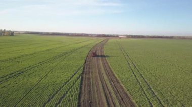 Şeker pancarı hasat ediyorum. Kombine ve arabalar tarladan kök ekinleri topluyor. İnsansız hava aracı ya da kuadrokopterden yapılan hava taraması. Çiftlikte sonbahar tarlası işi. Şeker üretimi için hammadde hasat ediliyor.