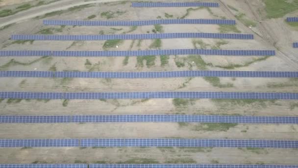 太陽光パネル空中ビュー ドローンや四面体からの撮影 生態系ターミナル発電所が発電する 未来の代替燃料だ 太陽シリコン電池の平行配置 — ストック動画