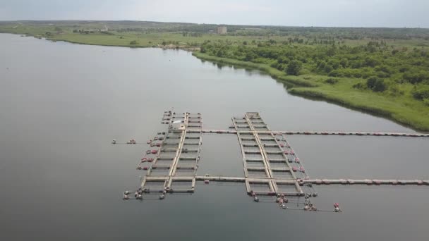 Farm for breeding fish and oysters. Birds-eye view. Shooting from the drone or quadcopter. Business in the reservoir for the cultivation of seafood. Pools and fishery cells. Trout and sturgeon — Stock Video