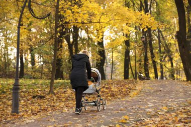 Elinde bebek arabası olan genç bir anne, bir sonbahar parkında sarı ağaçların arasında yürüyor. Çocuğun gelişimi için temiz hava ve uyku. Sağlıklı çocuklar yetiştirmek. İstekli doğa. Sıcaklığın bolluğu