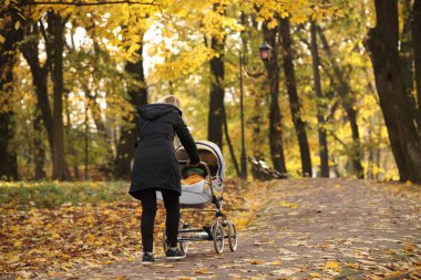 Elinde bebek arabası olan genç bir anne, bir sonbahar parkında sarı ağaçların arasında yürüyor. Çocuğun gelişimi için temiz hava ve uyku. Sağlıklı çocuklar yetiştirmek. İstekli doğa. Sıcaklığın bolluğu