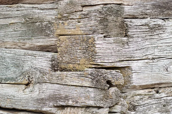 古い丸太の側面にある木の角と模様のクローズアップ — ストック写真