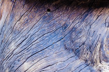 Bu bağırmak ve desen tarafında eski bir günlük Close-Up