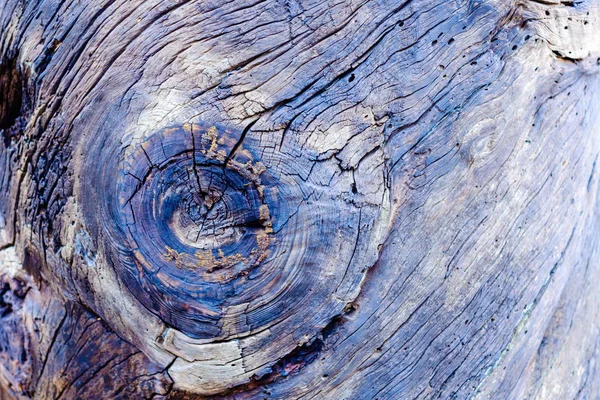 樹皮と古いログ側にパターンのクローズ アップ — ストック写真