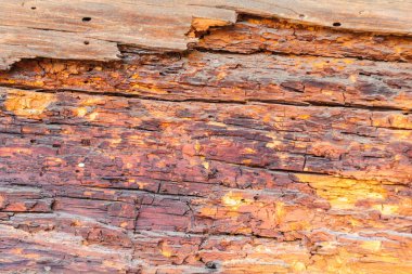 Bu bağırmak ve desen tarafında eski bir günlük Close-Up