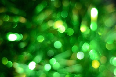 Yeşil bokeh ışık şenlikli bulanıklık arka plan defocused