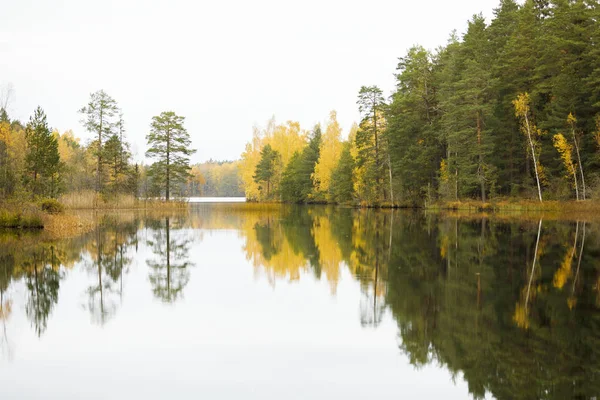 Jesienny Las Nad Jeziorem Lotorp Szwecja — Zdjęcie stockowe