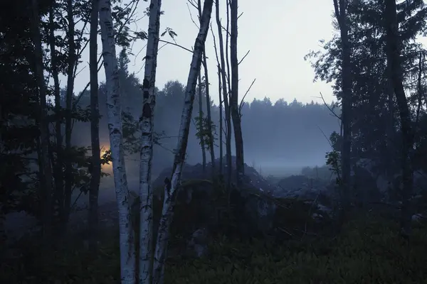 Деревья Туманному Полю Ночью — стоковое фото