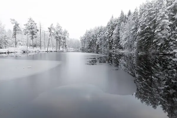 Πάγος Στη Λίμνη Από Χιονισμένα Δέντρα Στη Lotorp Σουηδία — Φωτογραφία Αρχείου