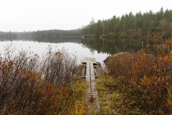 Vacker Utsikt Över Piren Mellan Buskar Vid Sjön — Stockfoto