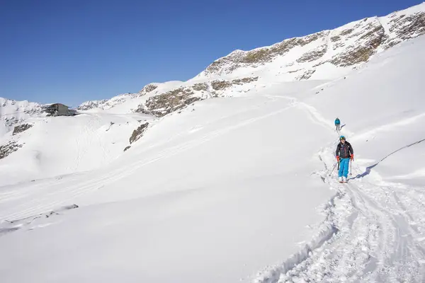 美しい雪に覆われた山の中で男性スキー — ストック写真