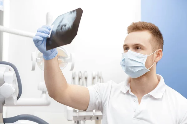 Modern Technologies Professional Dentist Examining Dental Ray Jaw Teeth His — Stock Photo, Image