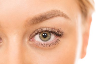 Cropped close up of an eye of a gorgeous naturally beautiful woman isolated on white sightt beauty cosmetology skincare femininity confidence eyes face healthy skin flawless smooth soft fresh clean concept clipart