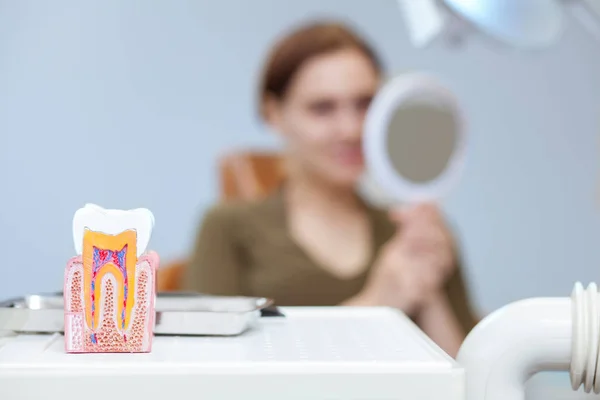 Селективный Акцент Модели Зубов Переднем Плане Женщина Рассматривает Свои Зубы — стоковое фото