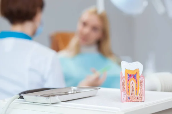 Foco Seletivo Molde Dentário Consultório Odontológico Primeiro Plano Espaço Cópia — Fotografia de Stock