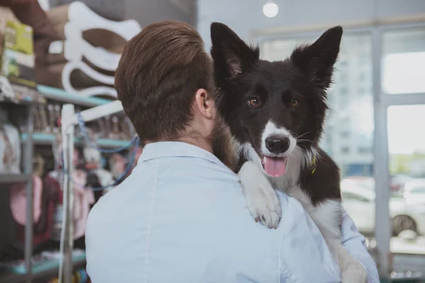 Alegre barbudo veterinario masculino examinando hermoso perro — Foto de Stock