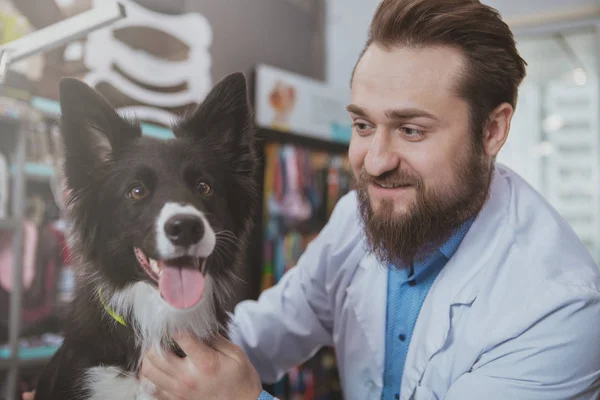 Alegre barbudo veterinario masculino examinando hermoso perro — Foto de Stock