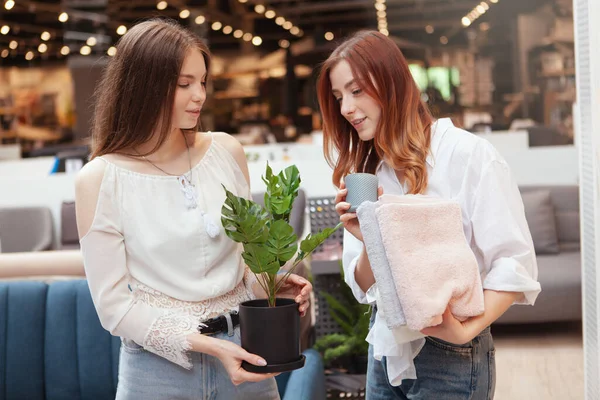 Dos Mujeres Jóvenes Comprando Juntas Tienda Artículos Para Hogar Comprando — Foto de Stock