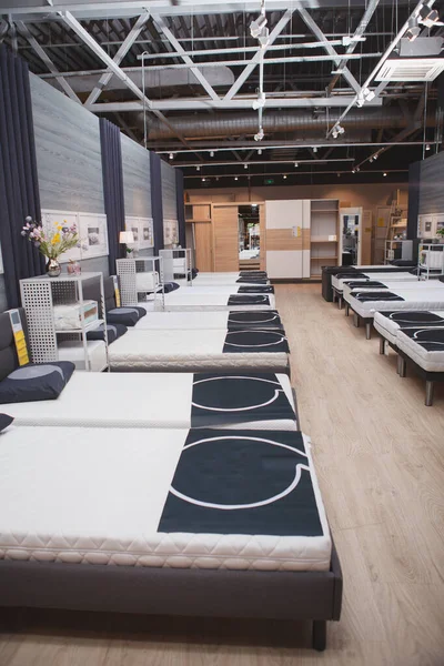 Mobilya Mağazasında Satışta Olan Ortopedik Yatakların Dikey Çekimi — Stok fotoğraf
