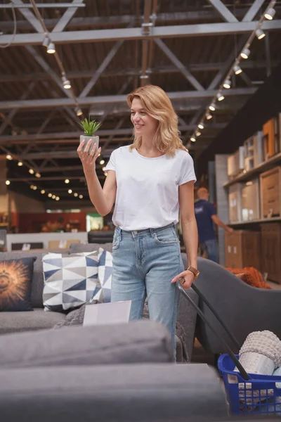 Tiro Vertical Una Hermosa Mujer Madura Sonriendo Comprando Planta Aloe — Foto de Stock