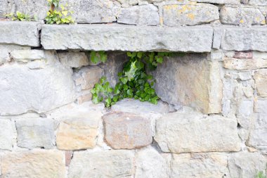 Bad Bentheim, Aşağı Saksonya, Almanya - 19 Mayıs 2019: Bentheim ortaçağ tepe kalesi ilk olarak 11..