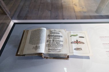 Bad Bentheim, Aşağı Saksonya, Almanya - 19 Mayıs 2019: Bentheim ortaçağ tepe kalesi - Müze