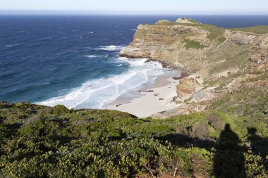 Cape of Good Hope rüzgarlı sahilde