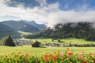 Mountain view balkonundan sardunyalar ile