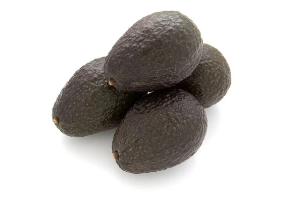 Beyaz arka planda dört Avokado (Persea Americana). Bunlar Meksika 'da yapıldı..
