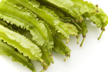 Kanatlı fasulye, Güneydoğu Asya 'da yetişen bir böğürtlen bitkisidir..