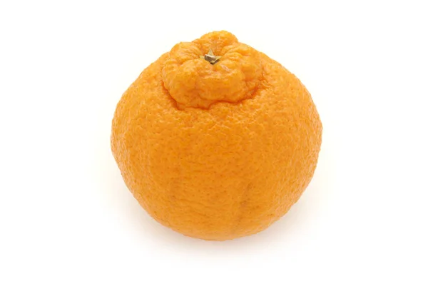 Dekopon Egy Japánban Termesztett Kétszersült Citrus Egy Népszerű Narancs Magas — Stock Fotó