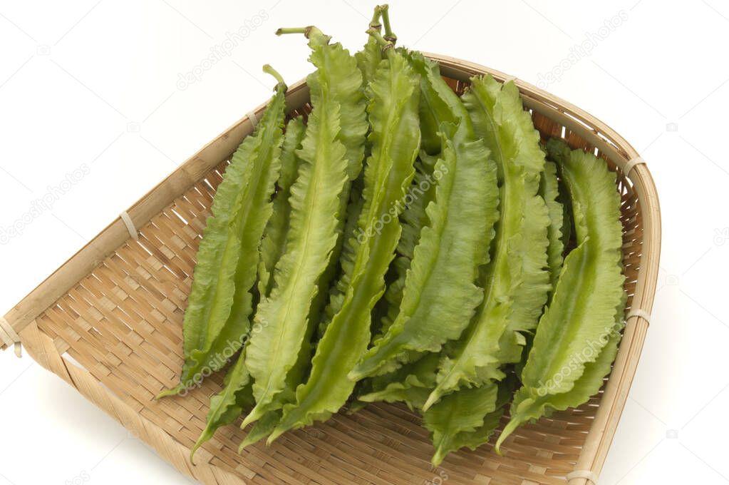 Winged bean is a leguminous plant grown in Southeast Asia and is called a square bean or urizun.