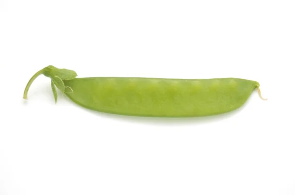 田里的豌豆是绿色的 可以用汤煮 也可以用炒的 — 图库照片
